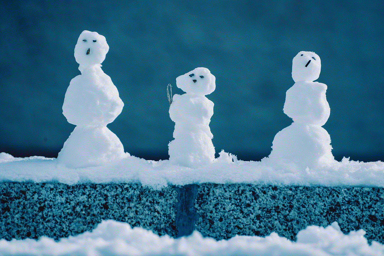 Snowman Winter