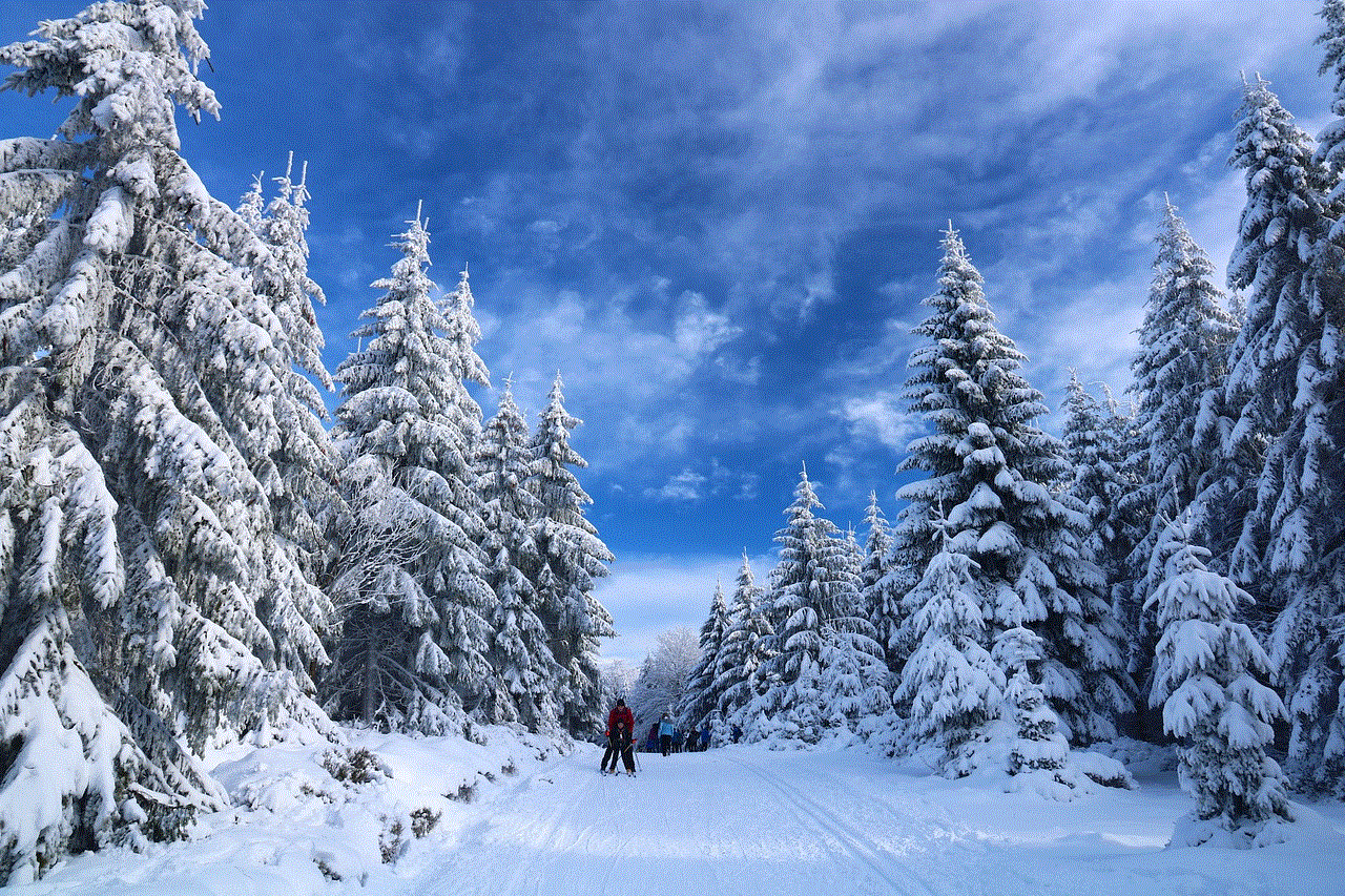 Skiing Snow