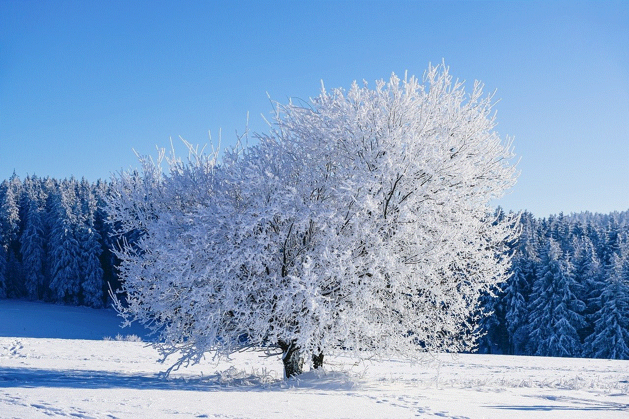 Winter Tree