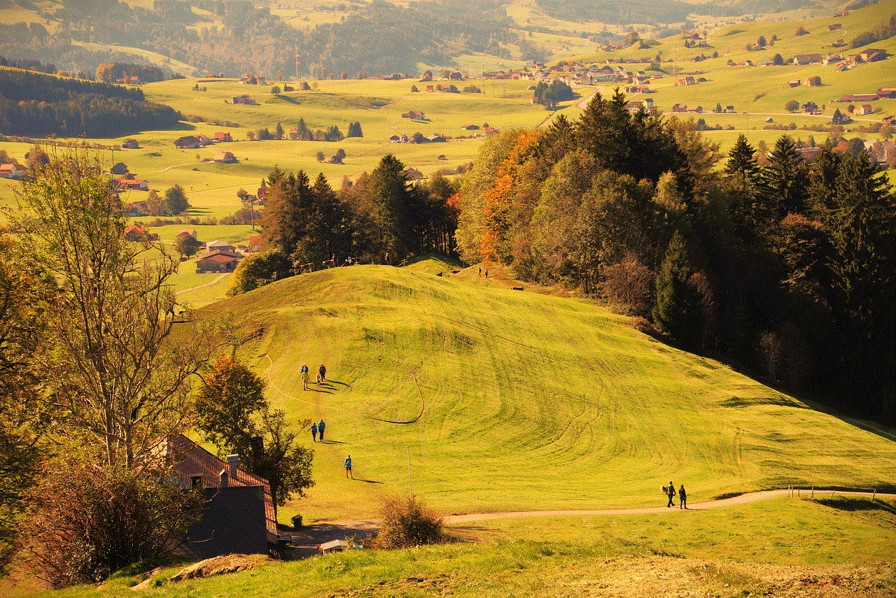 Black Forest Field