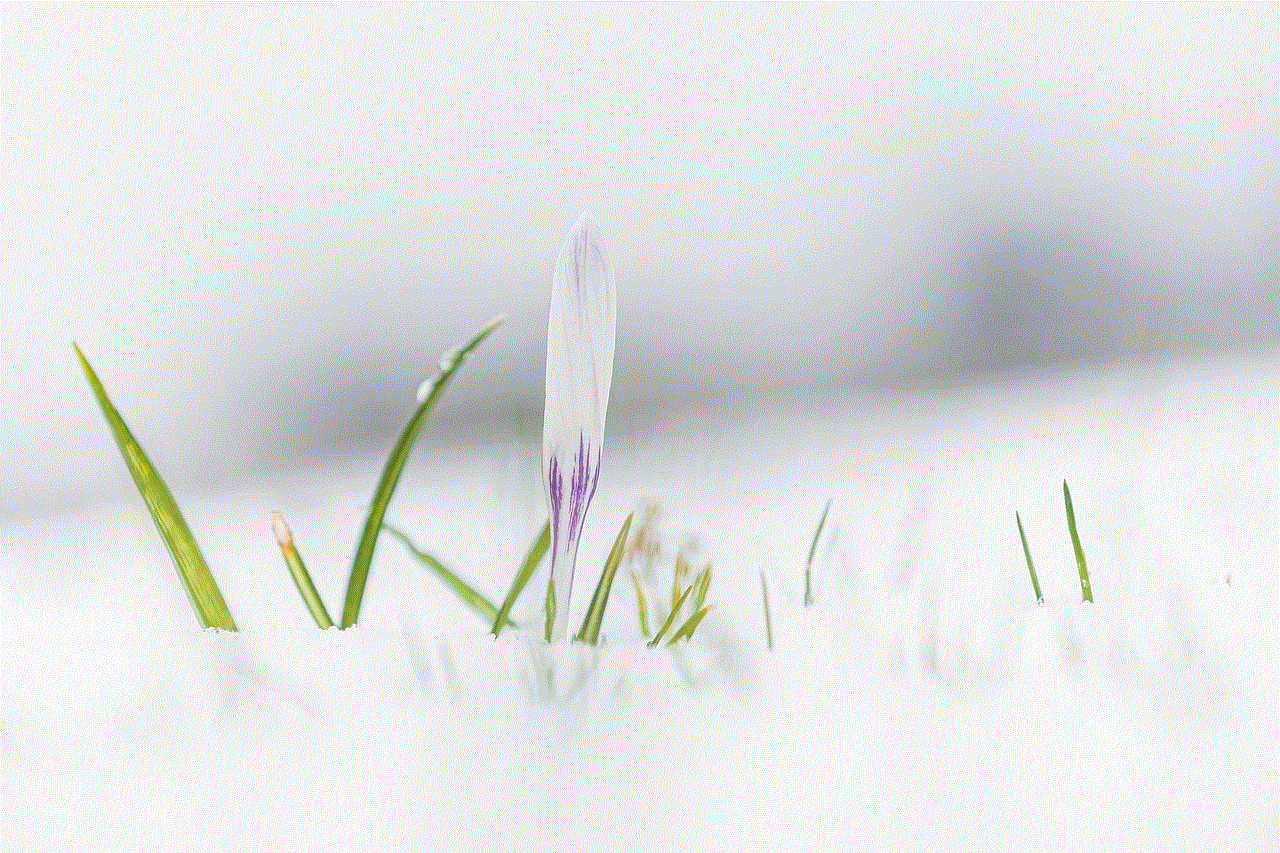 Flower Crocus
