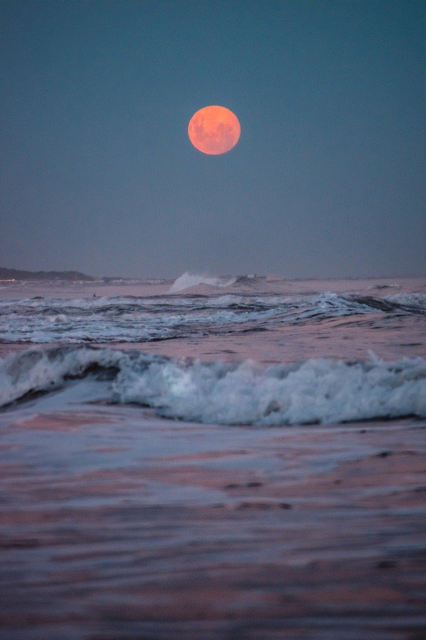 Sea Moon