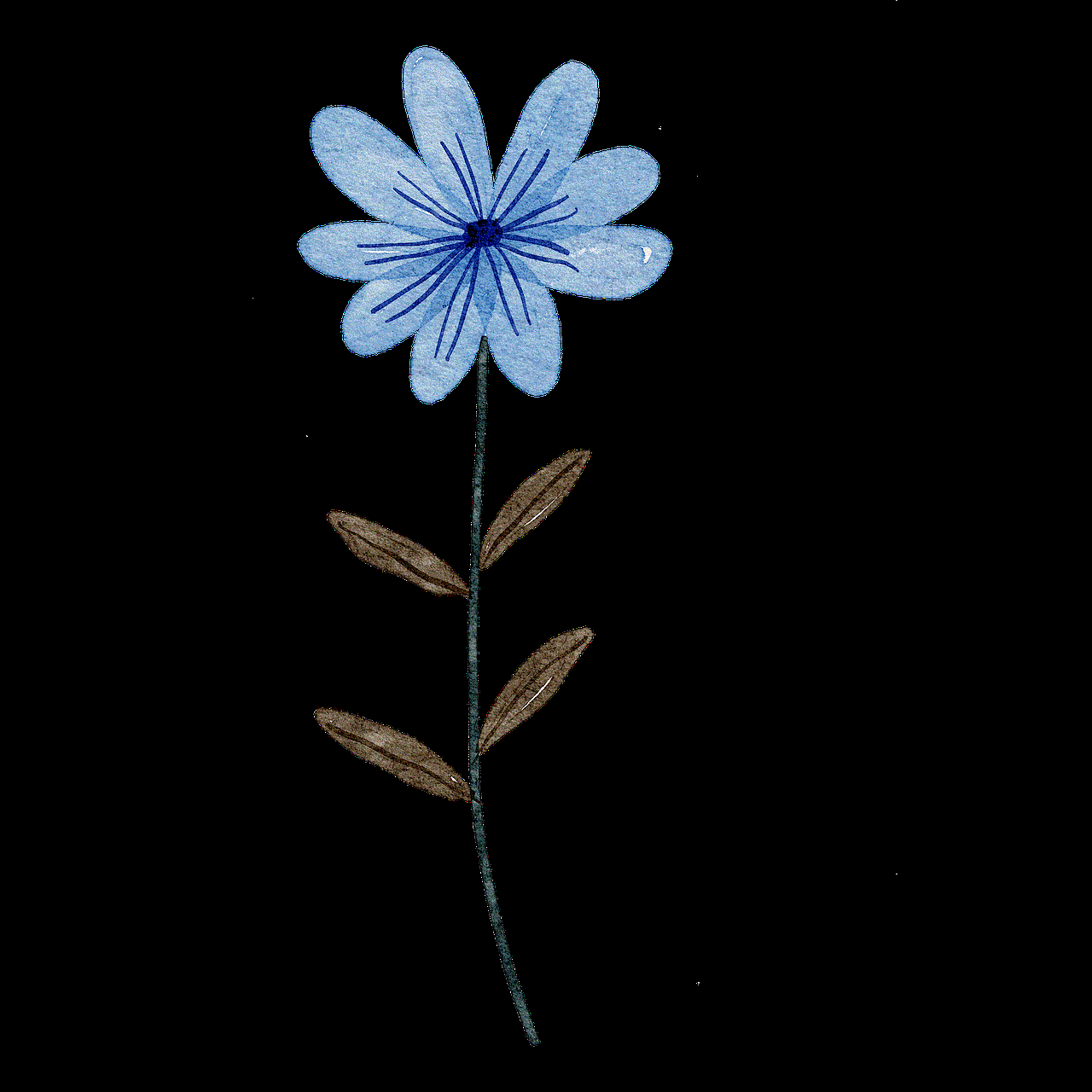 Blue Flower Flower