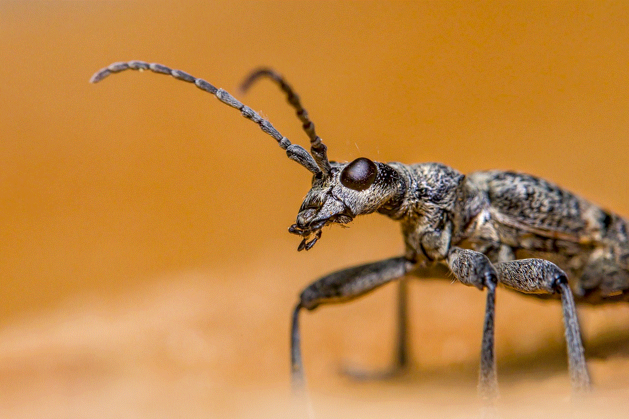 Black-Spotted Longhorn Beetle Insect