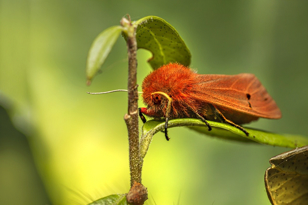 Ruby Tiger Insect