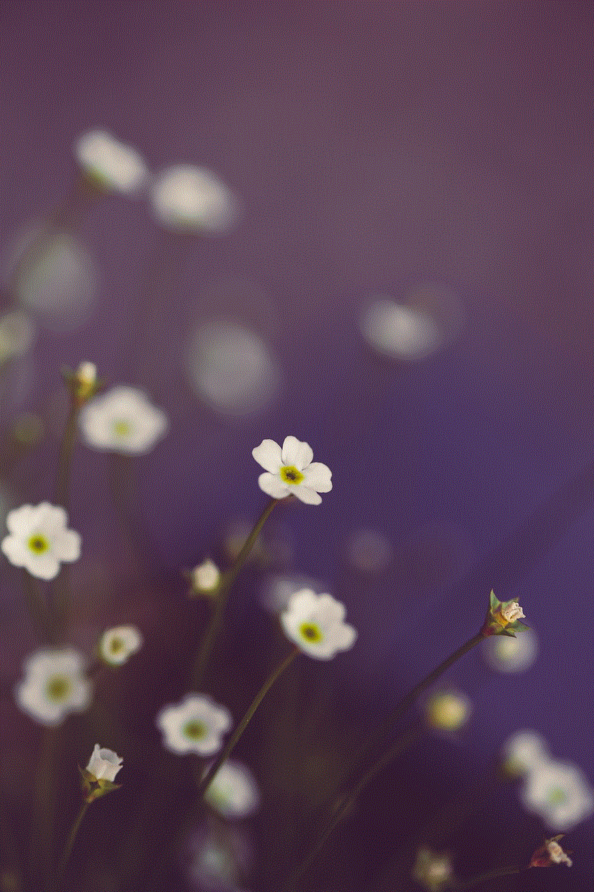Flowers Bloom Flowers Bloom