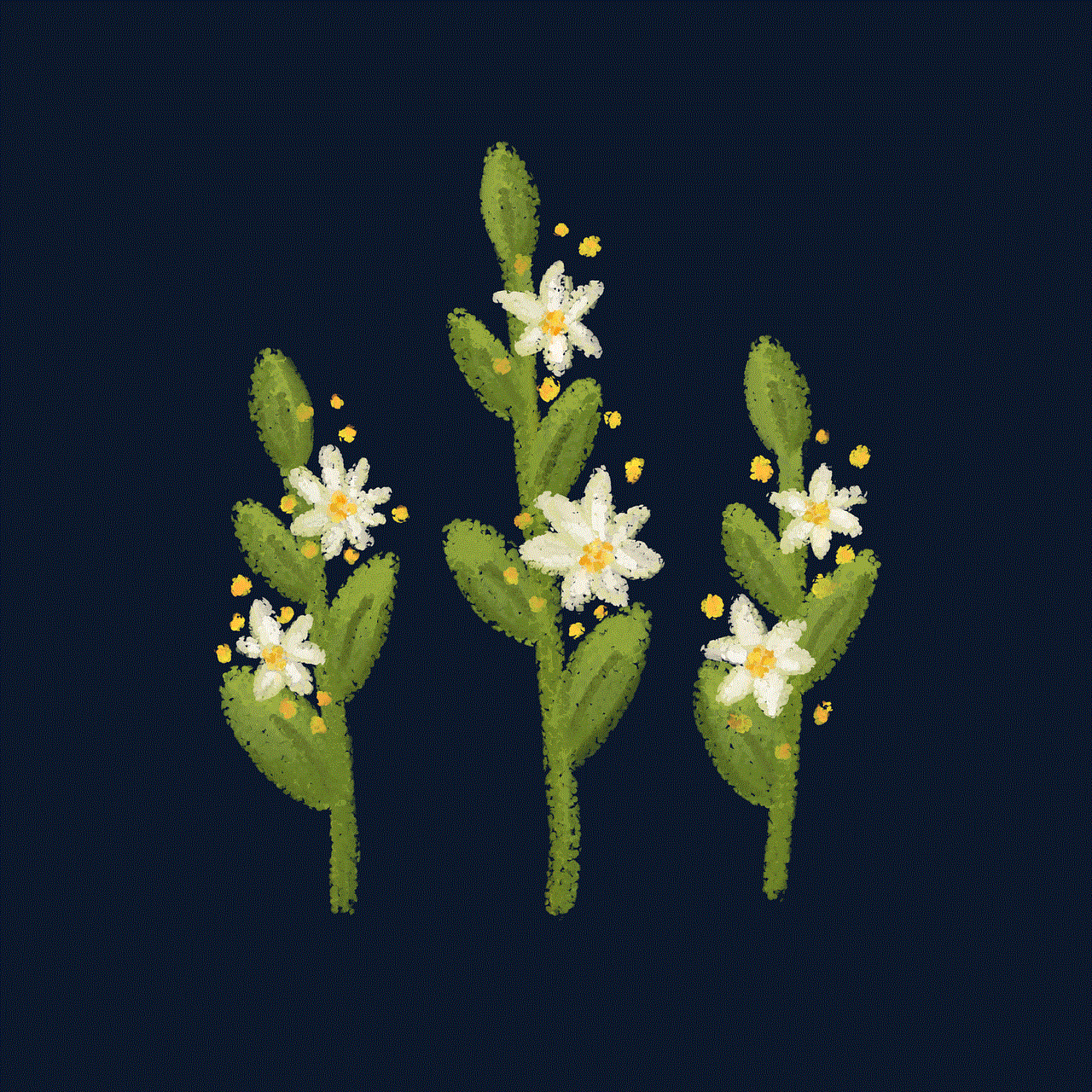 Flowers Plant