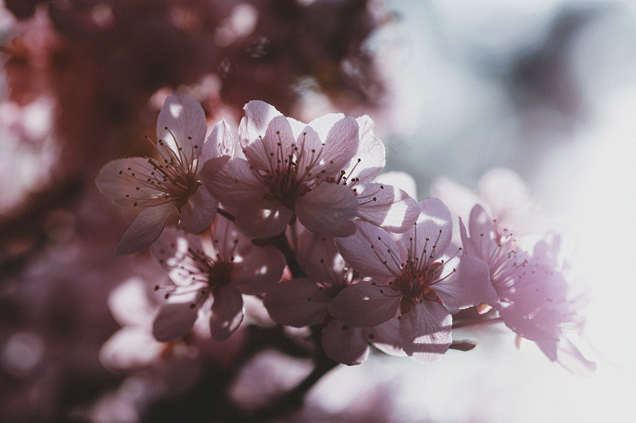 Flowers Plum Blossom