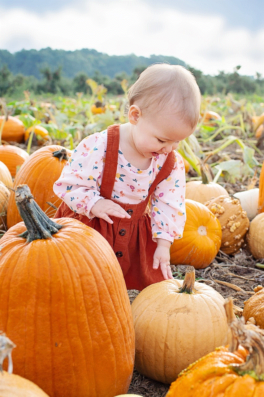 Baby Pumpkin Patch