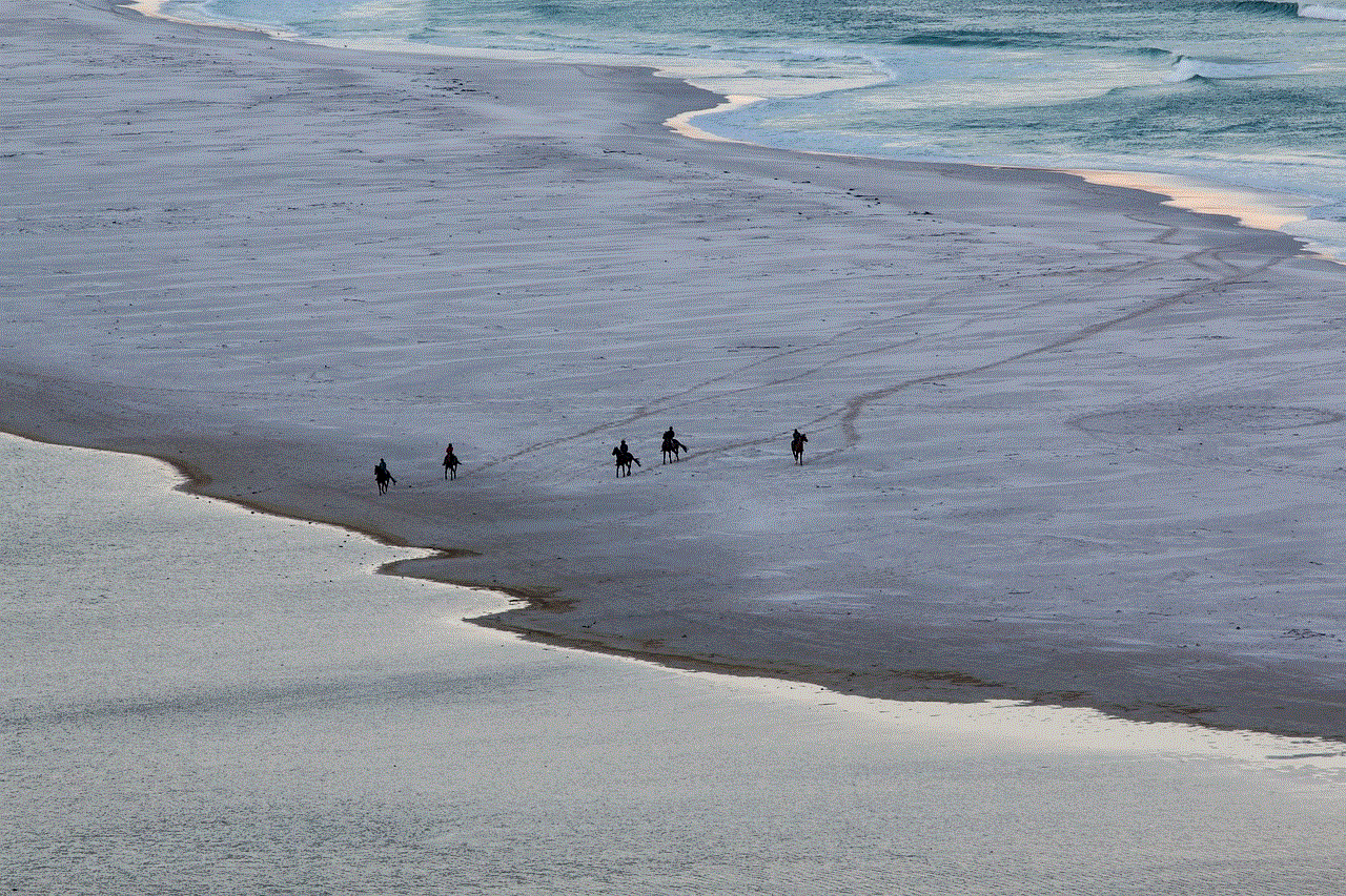 Beach Horses