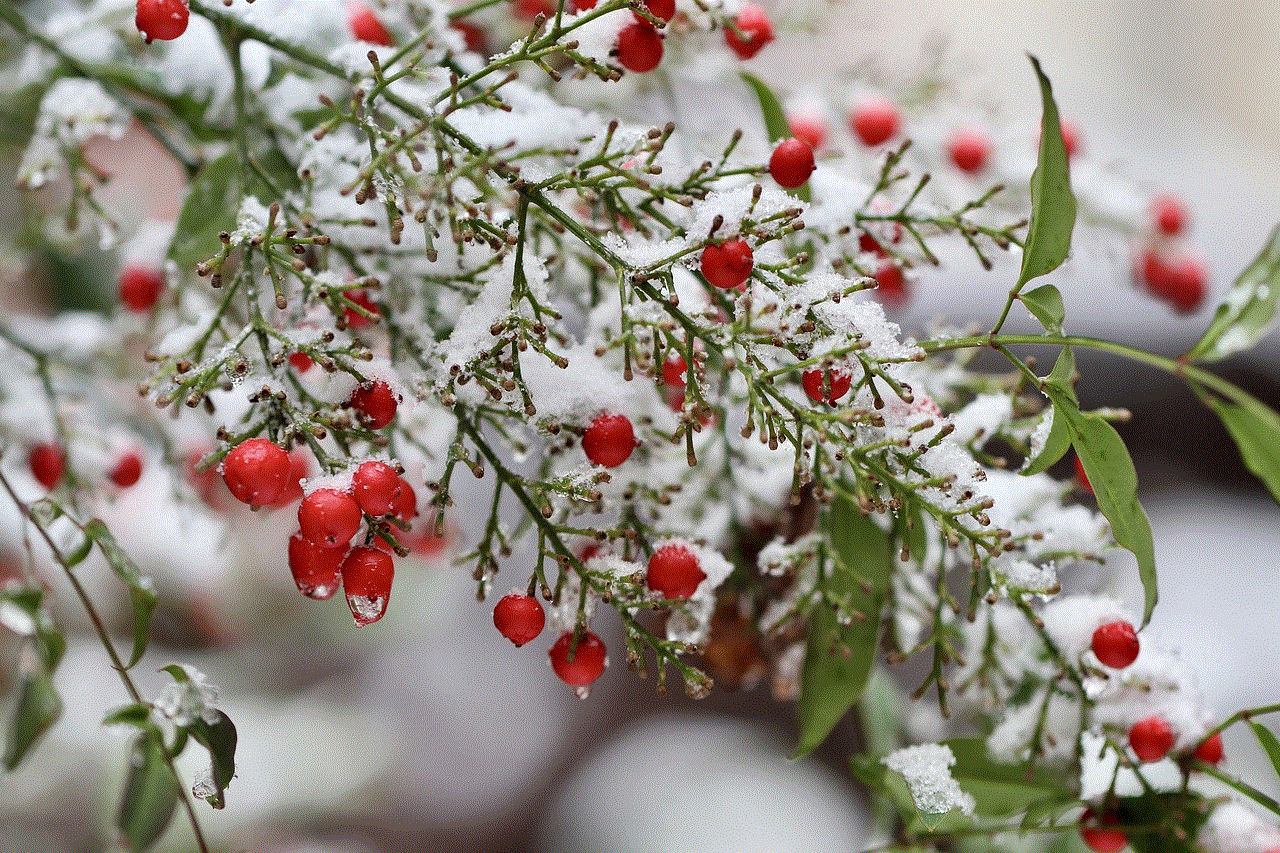 Heavenly Bamboo Nandina