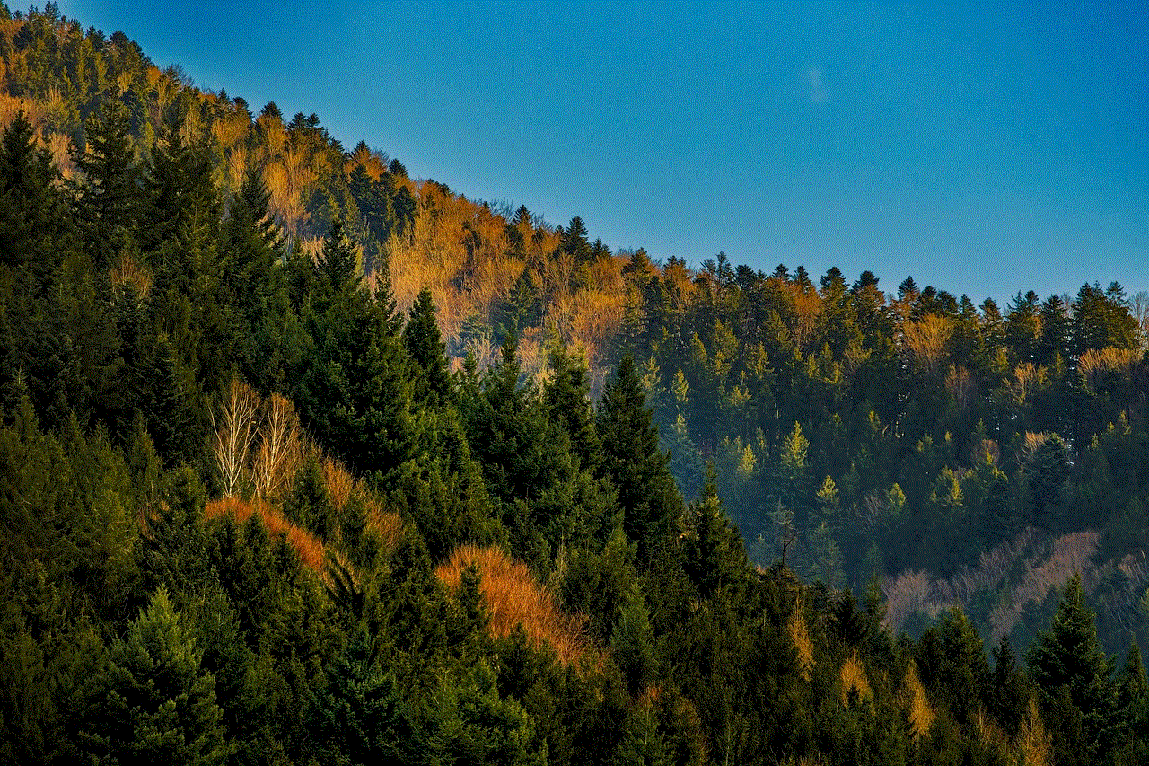 Black Forest Mountain Black Forest Mountain