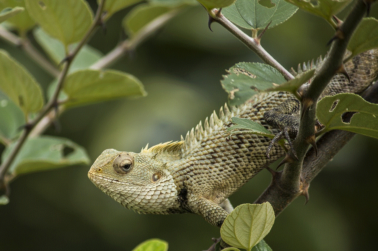 Oriental Garden Lizard Lizard