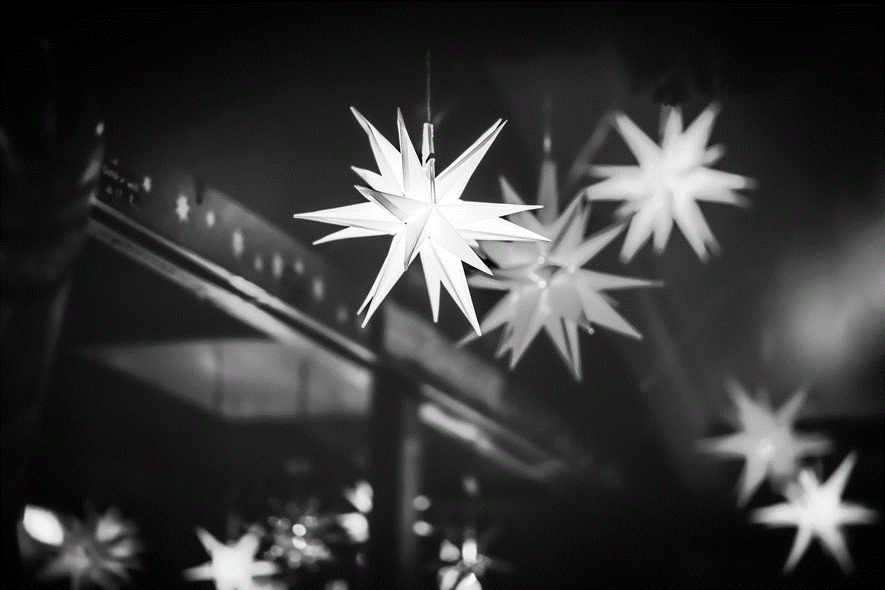 Christmas Star Christmas Decorations