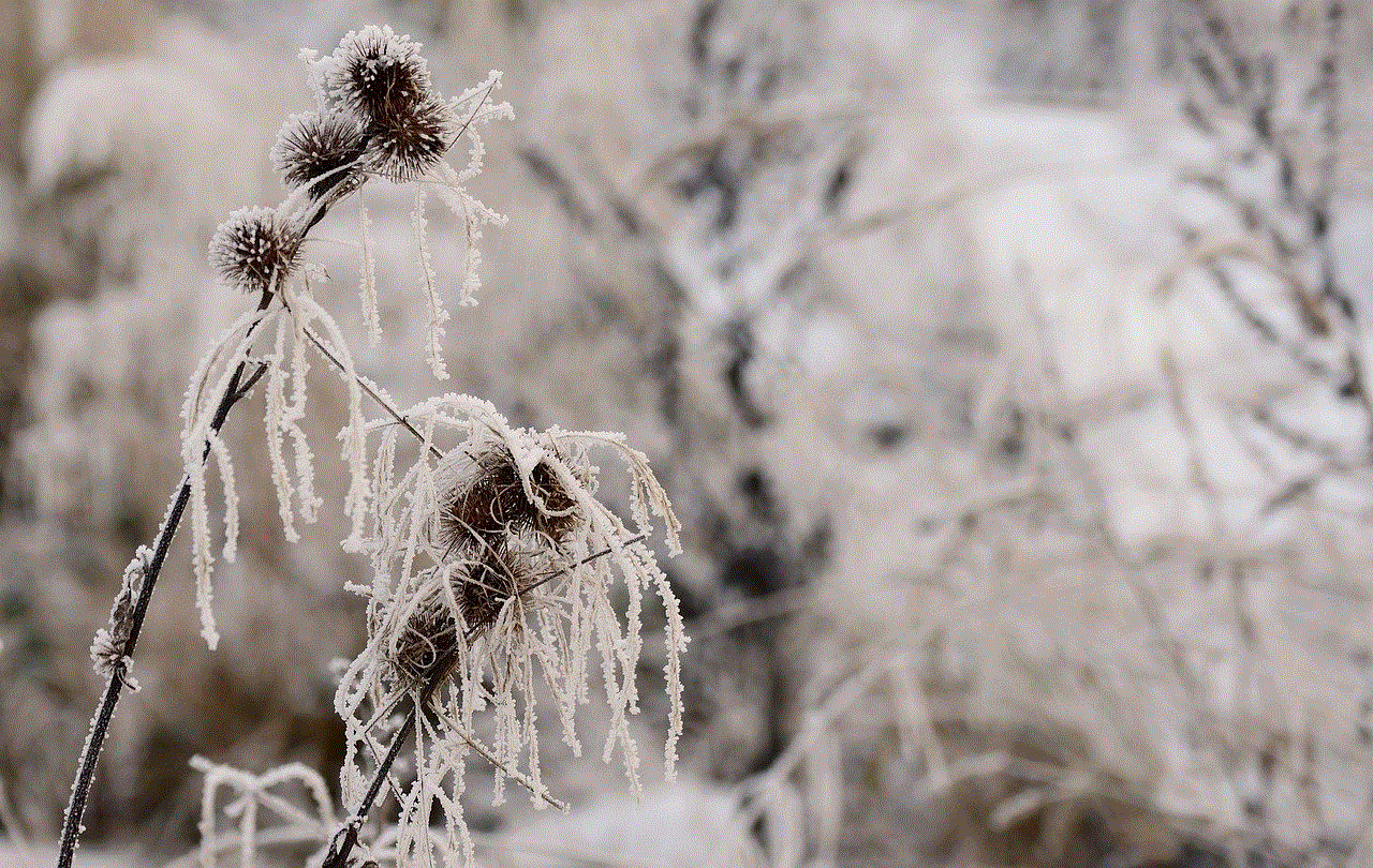 Grass Frozen