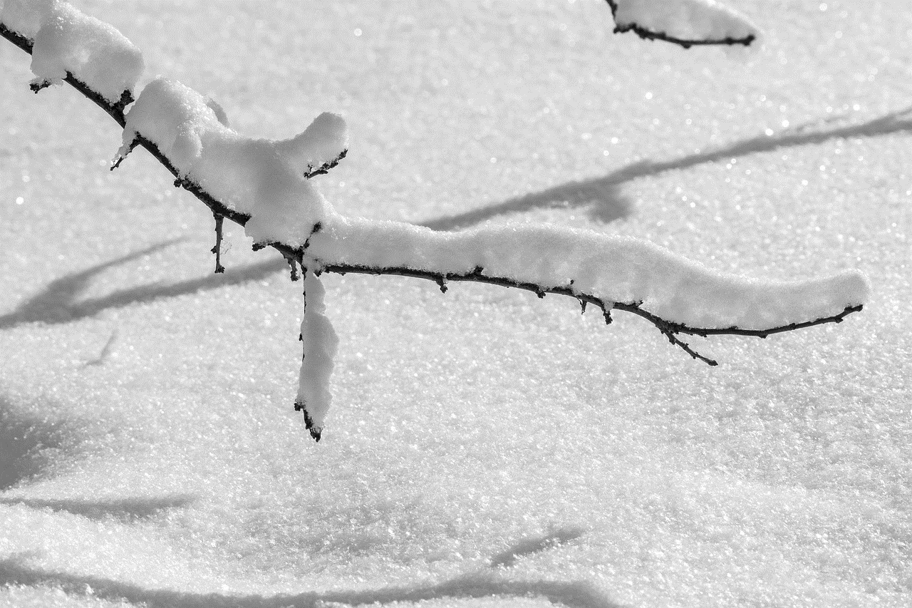 Nature Winter Nature Winter