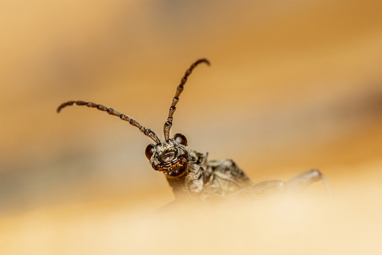 Black-Spotted Longhorn Beetle Beetle