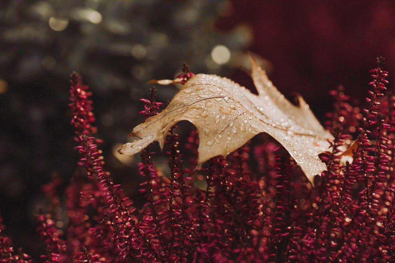 Leaves Heather