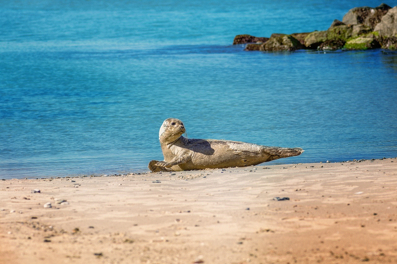 Seal Beach