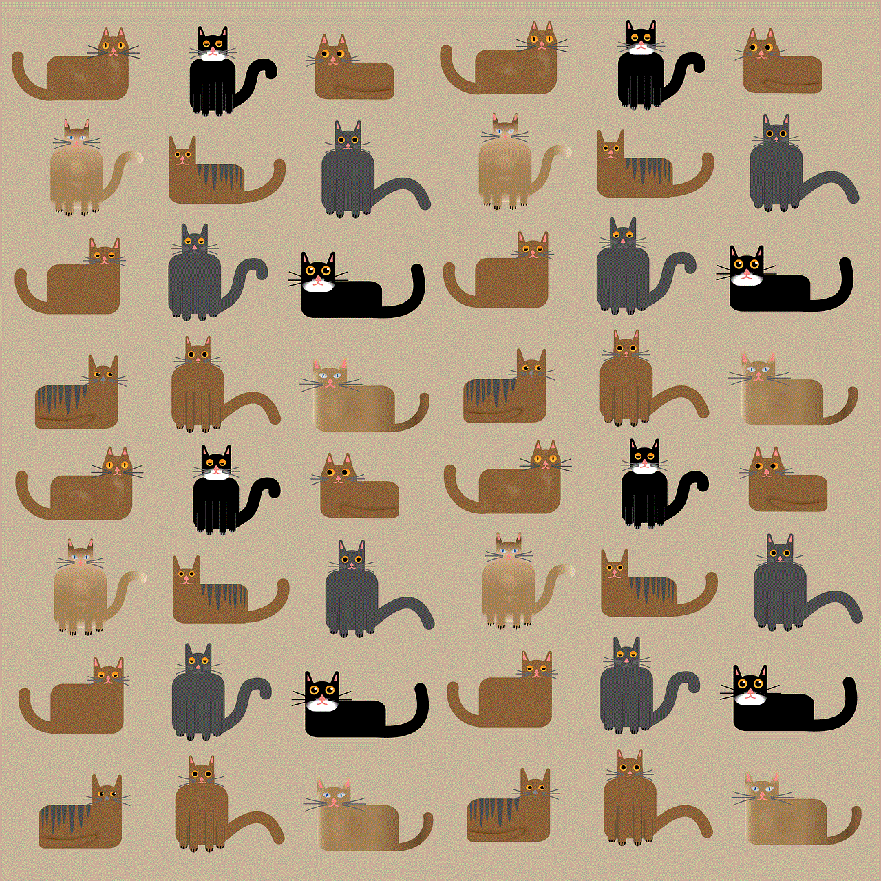 Cat Pattern