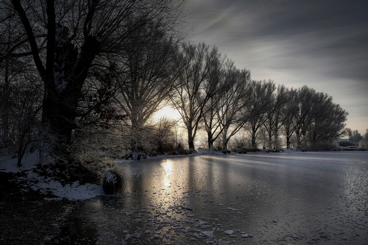 Frozen Lake Forest