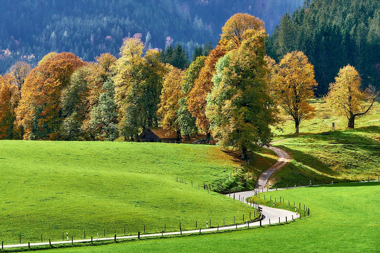 Fall Trees