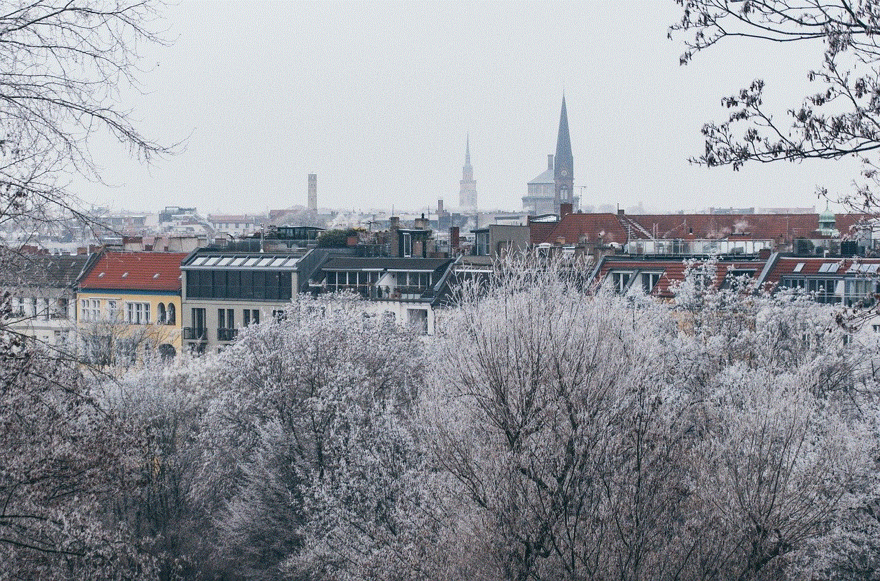 City Winter