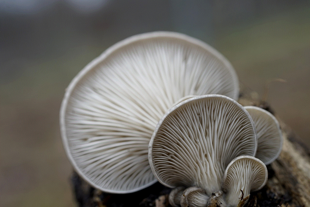 Oyster Mushrooms Mushrooms