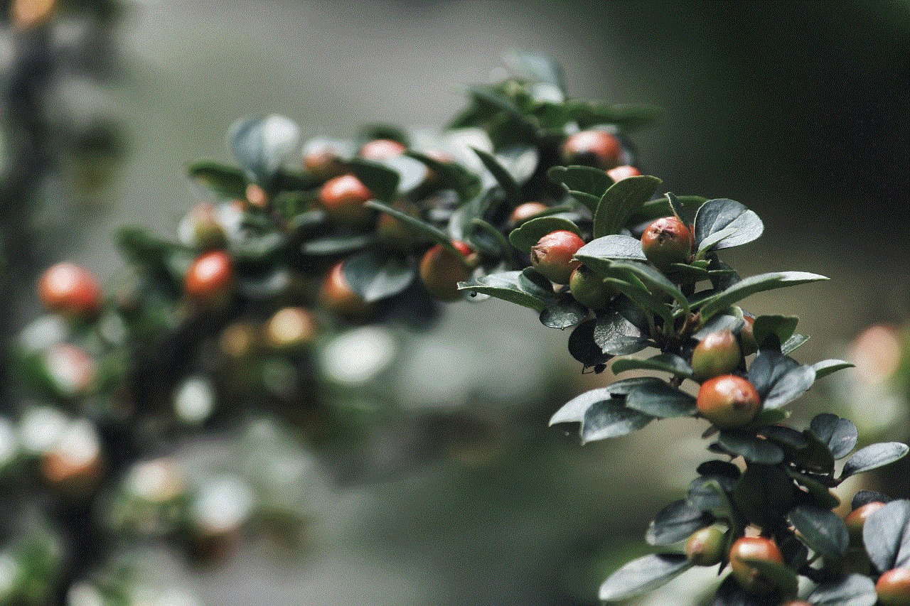 Shrub Leaves