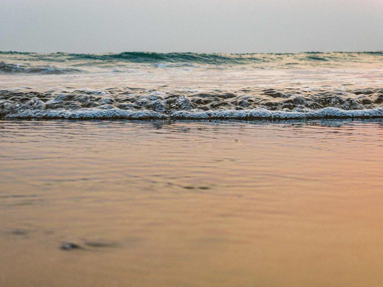 Beach Ocean