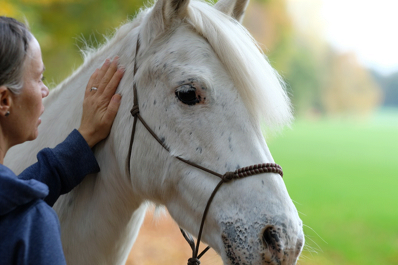 Horse Pony