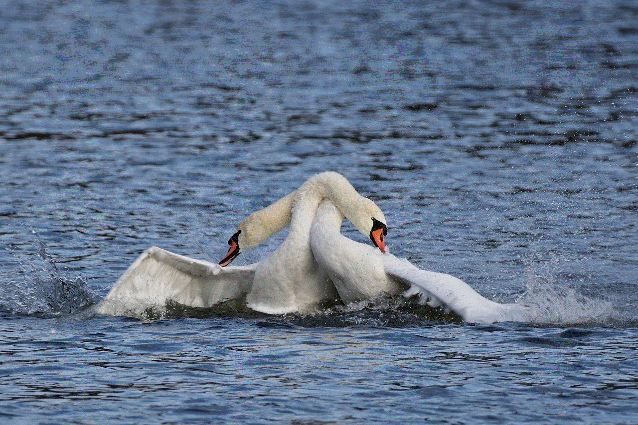 Mute Swans Balz