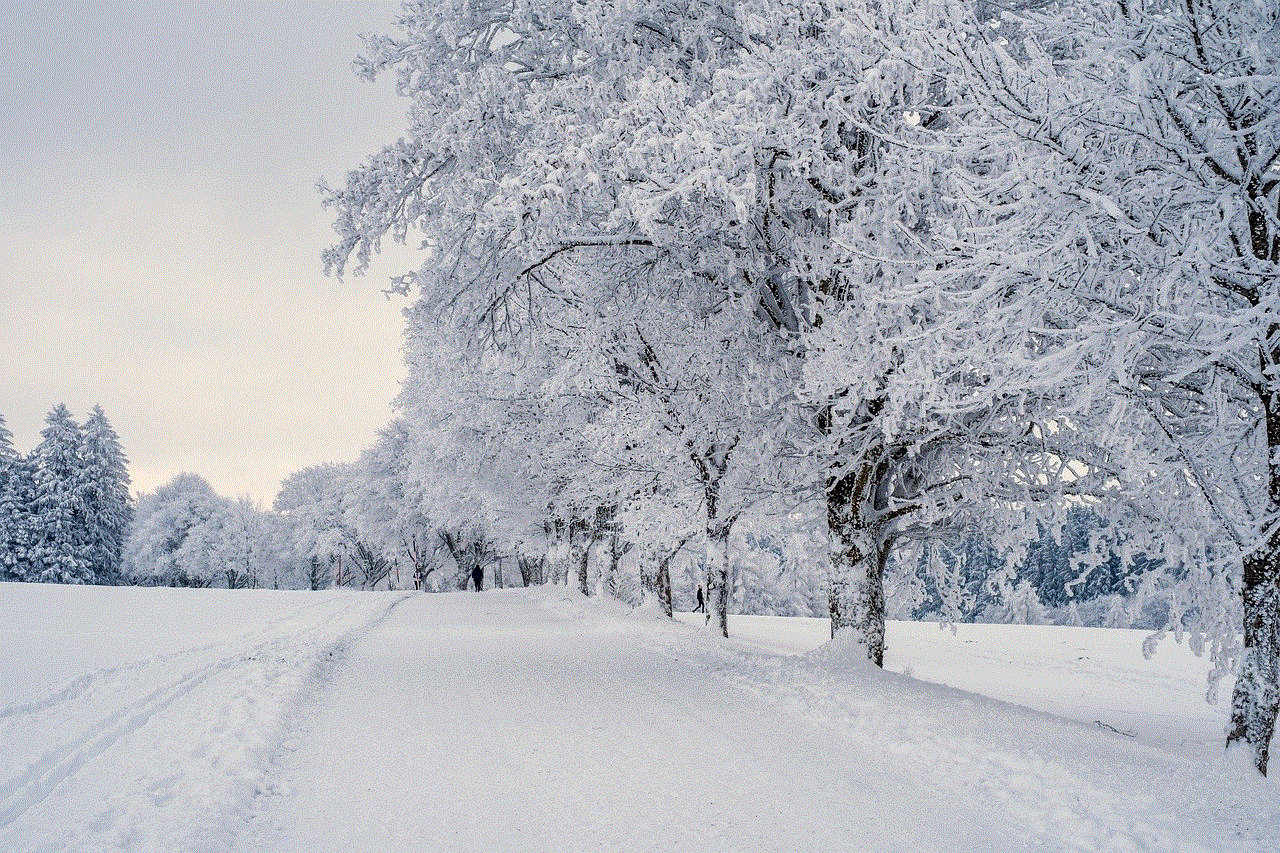 Snow Landscape