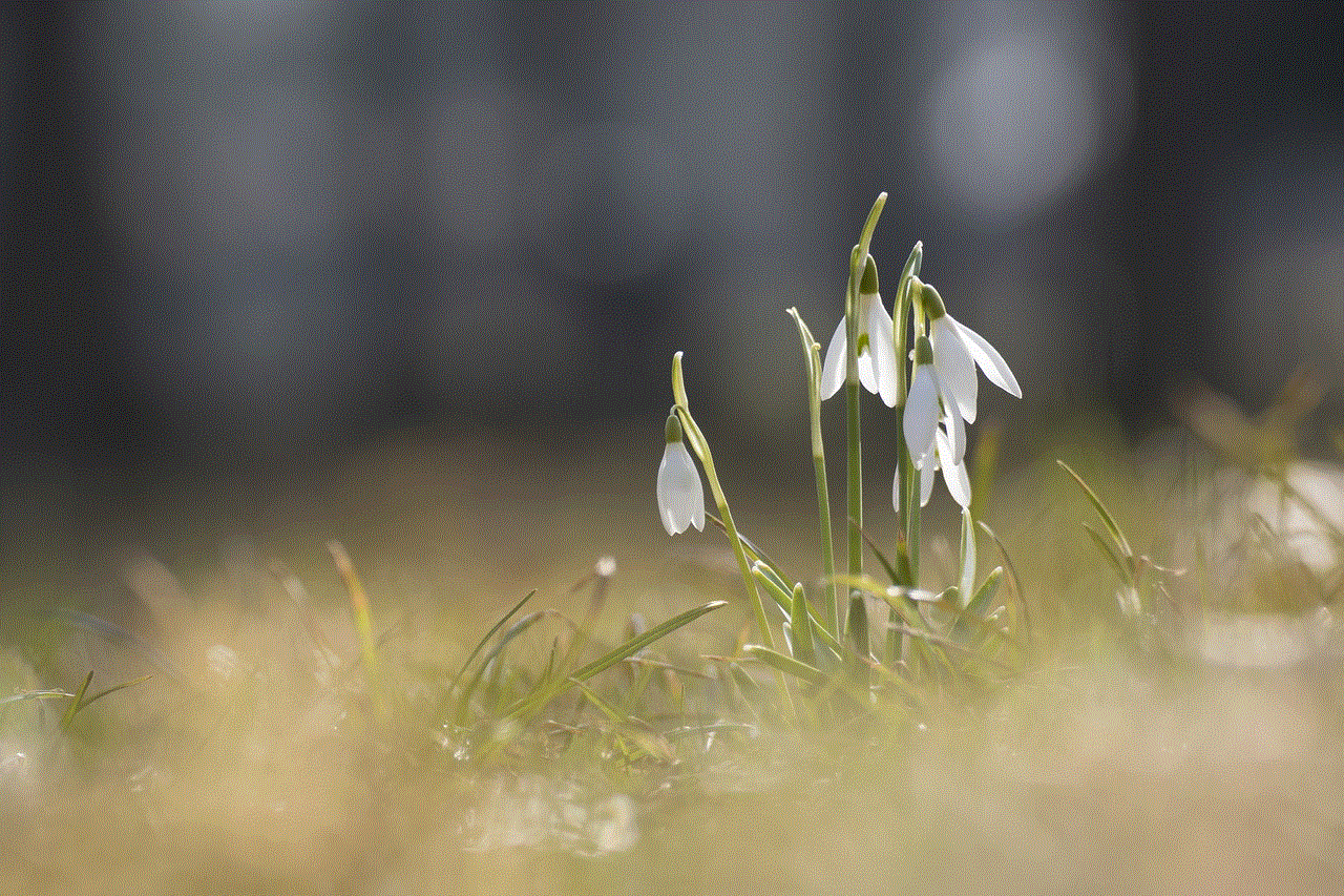 Flowers Snowdrop