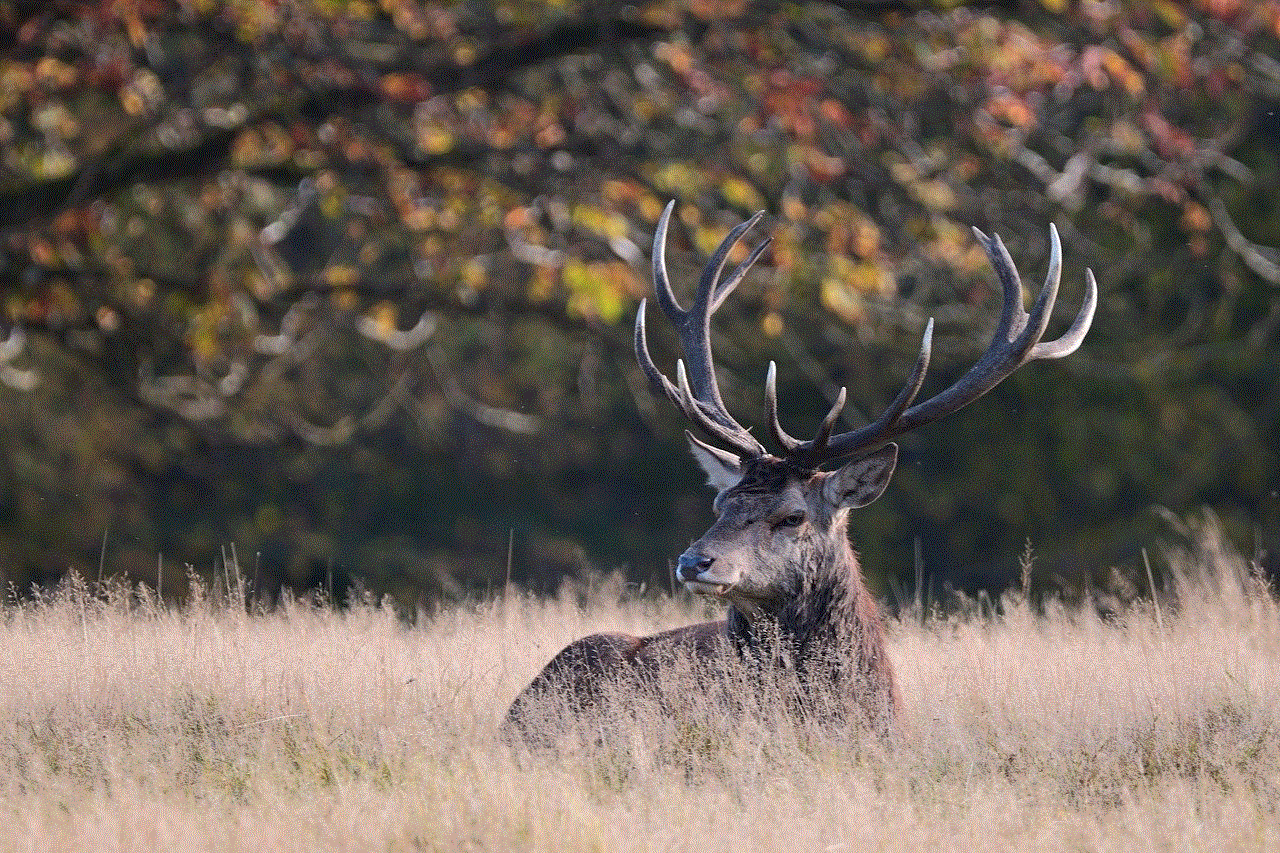 Red Deer Nature