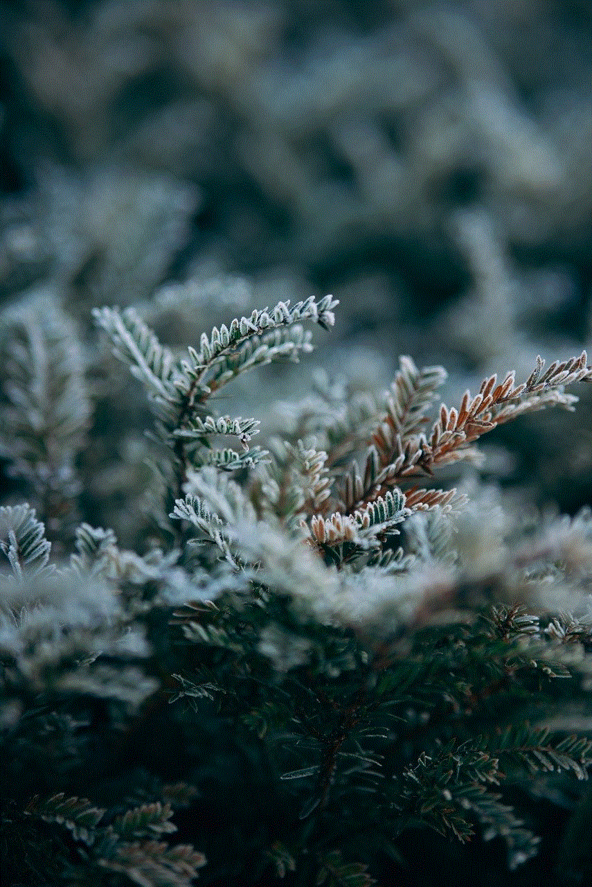 Snow Winter Snow Winter