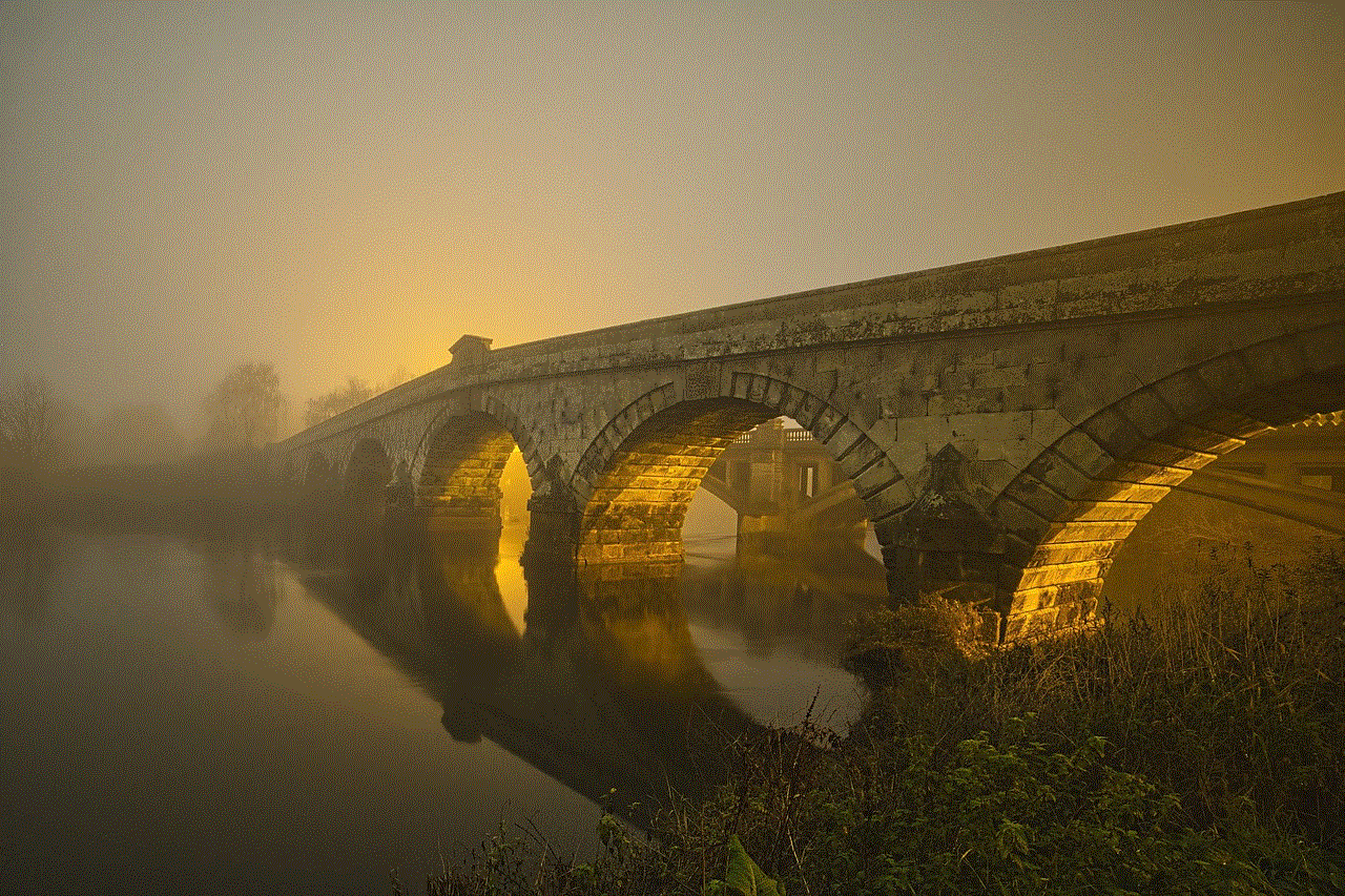 Bridge Fog