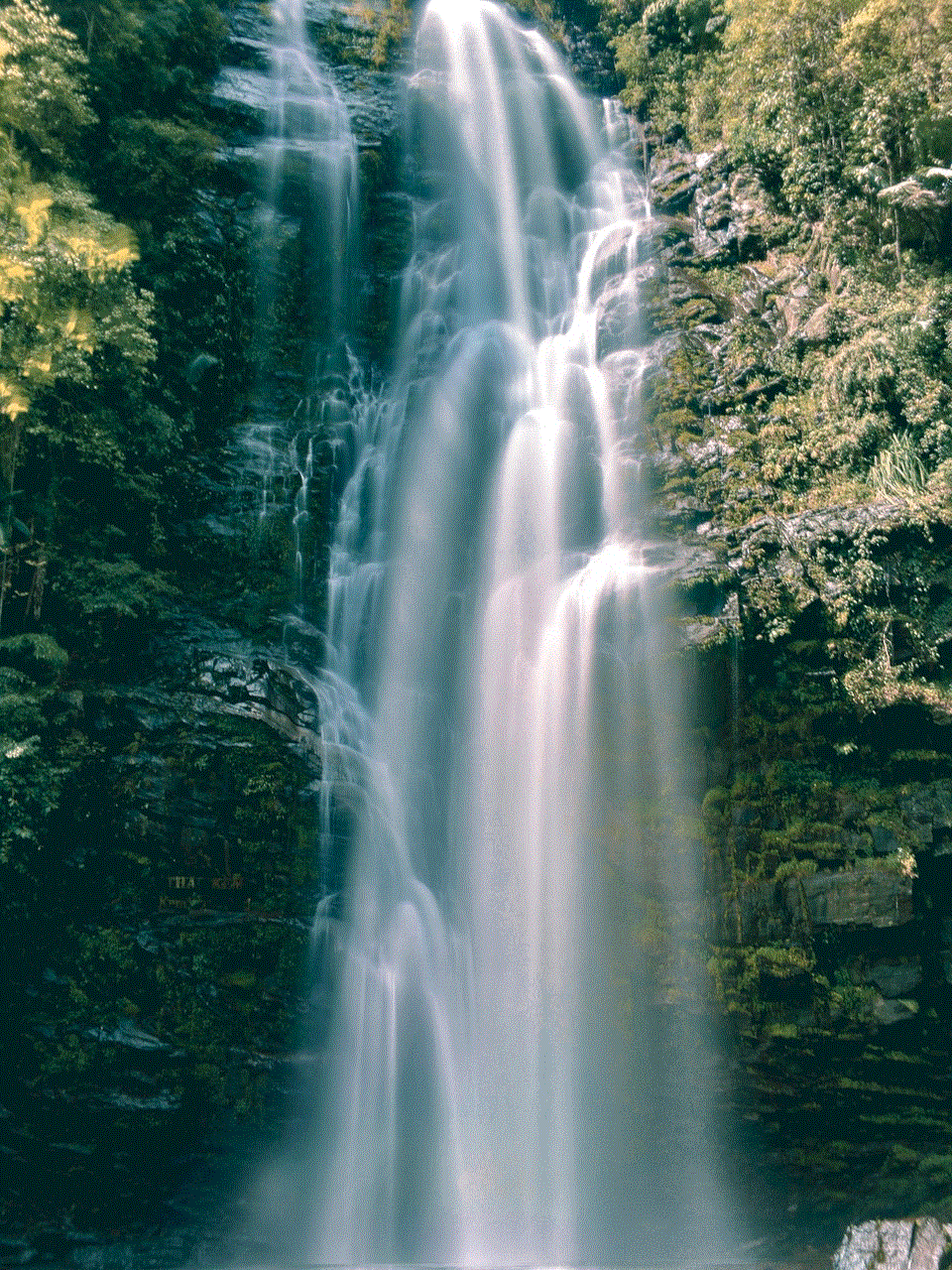 Waterfall Stream Waterfall Stream