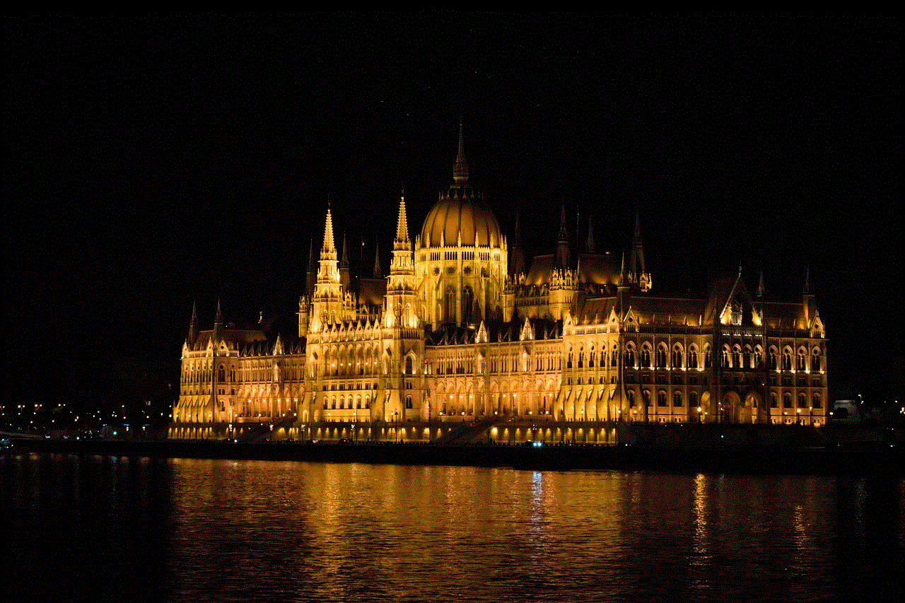 Hungarian Parliament Building Night