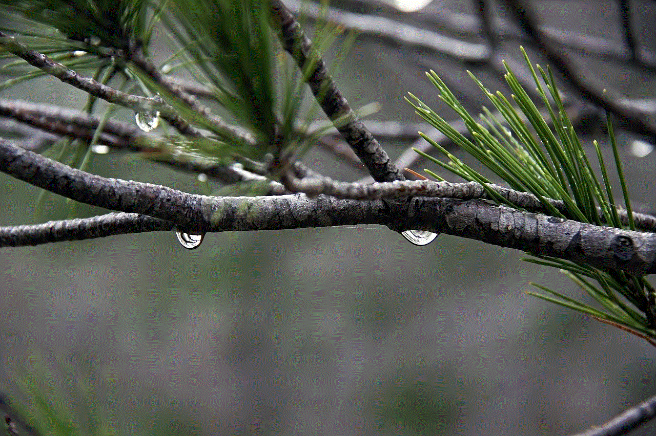 Water Branch