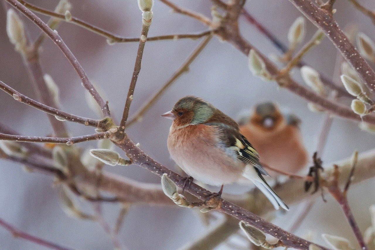 Nature Winter