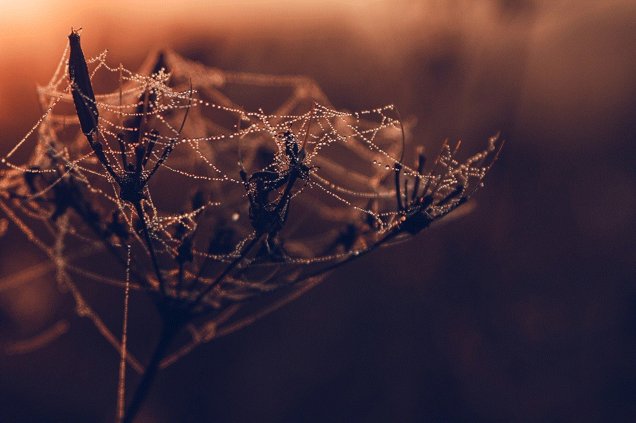 Spider Web Dew