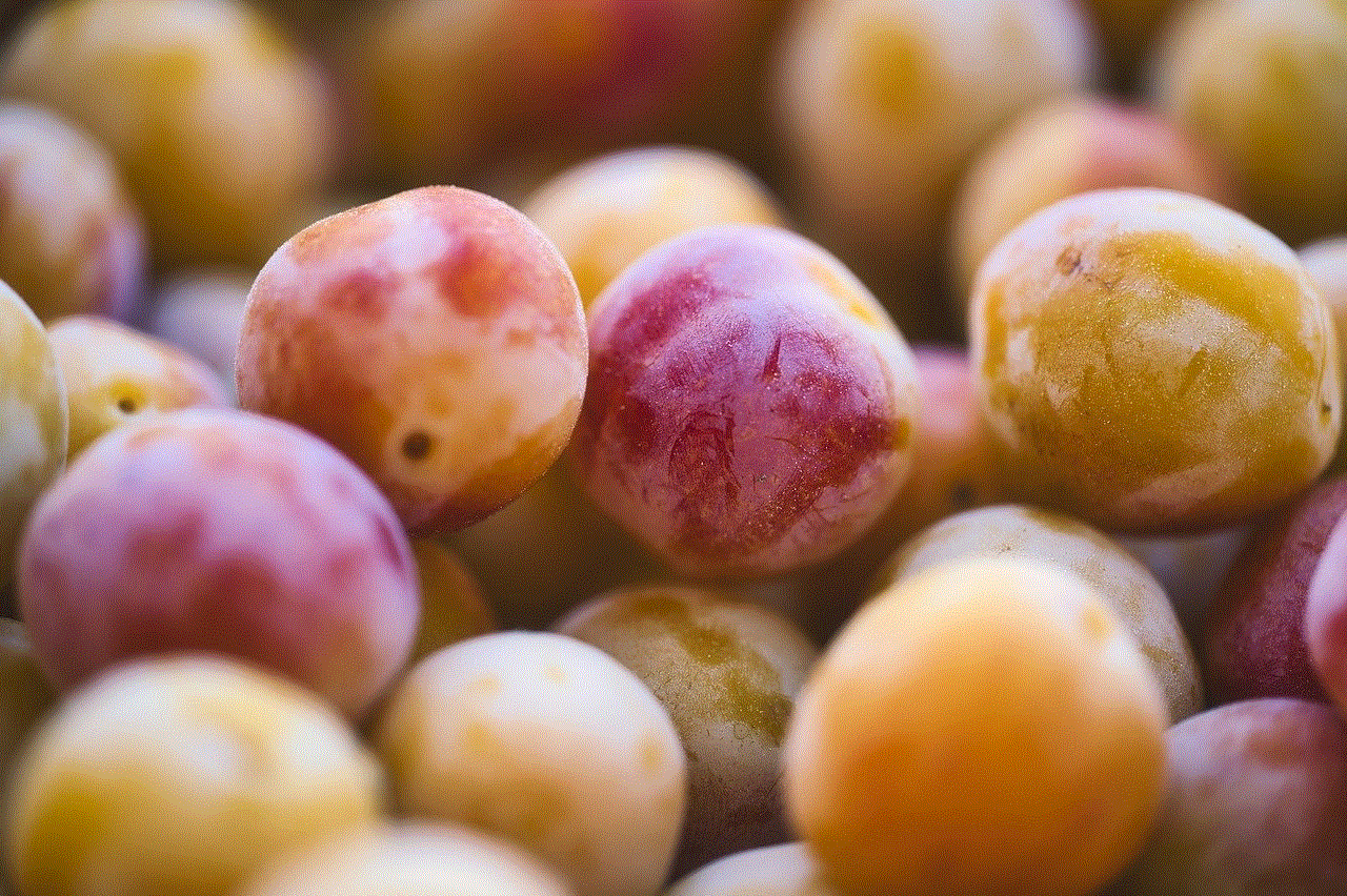 Mirabelle Plum Fruit