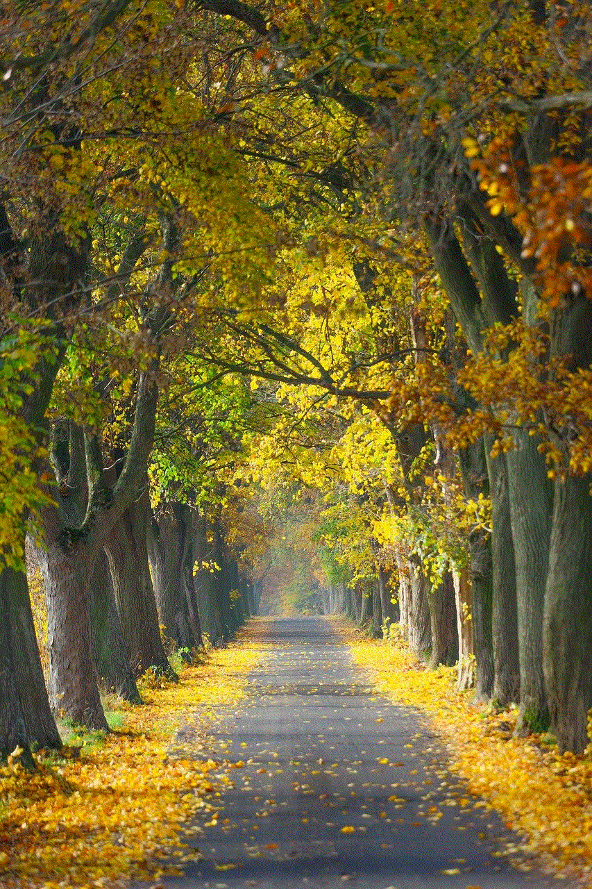 Autumn Road