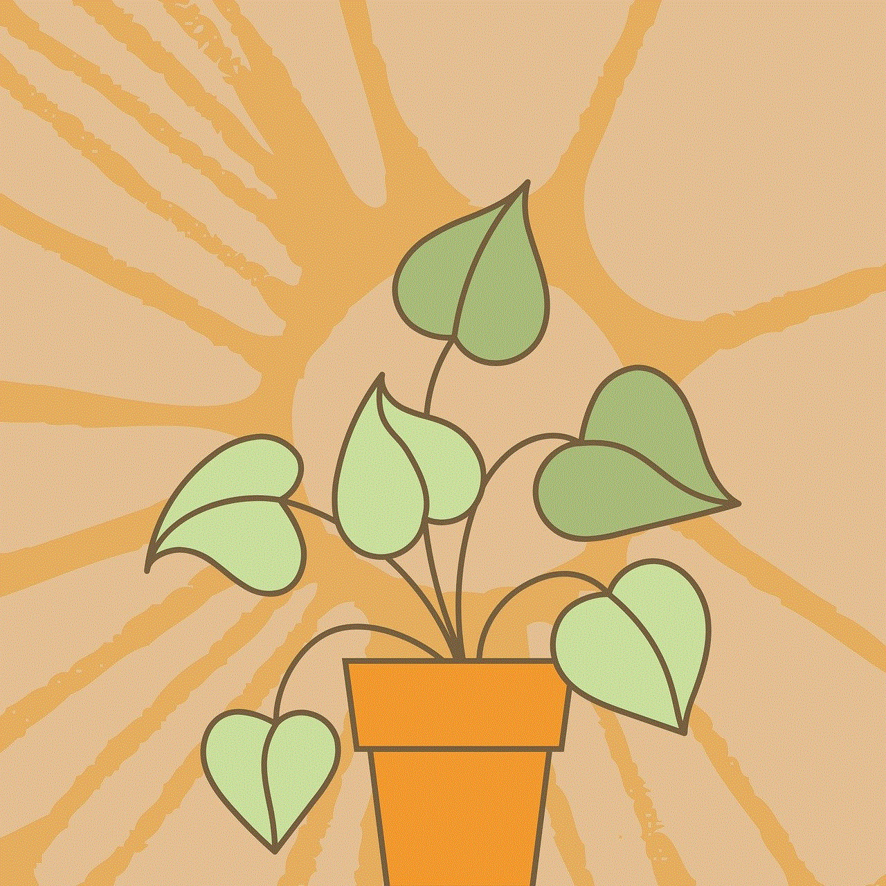 Plant Ivy
