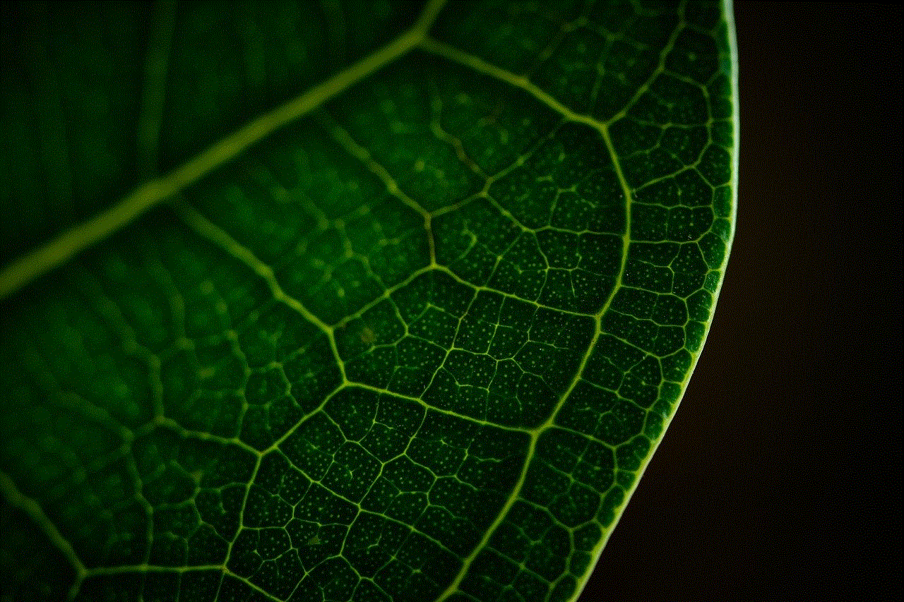 Leaves Forest Leaves Forest