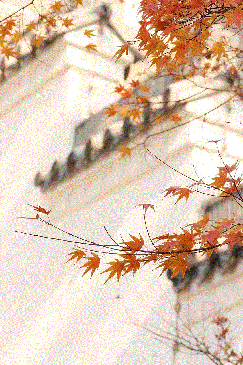 Maple Autumn