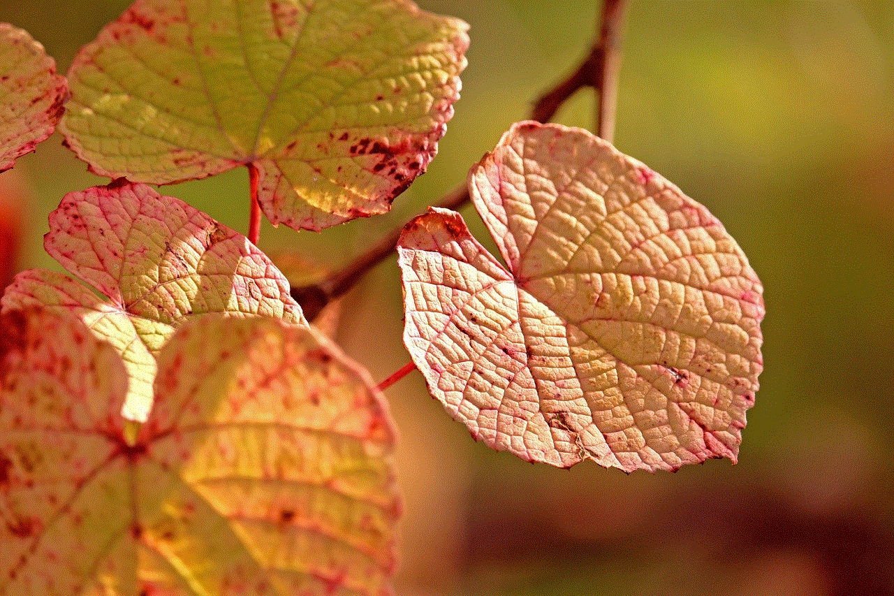 Leaves Foliage