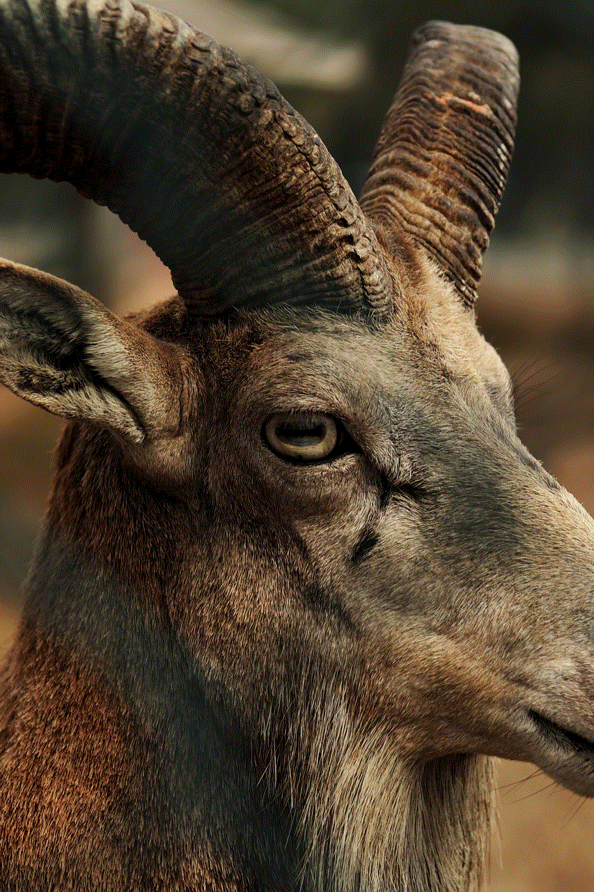 Ibex Eye