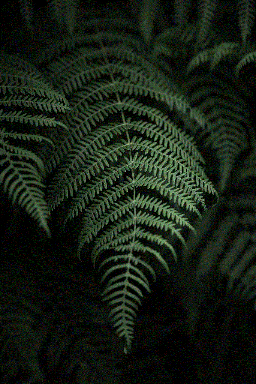 Fern Nature